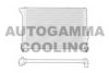 AUTOGAMMA 102884 Radiator, engine cooling